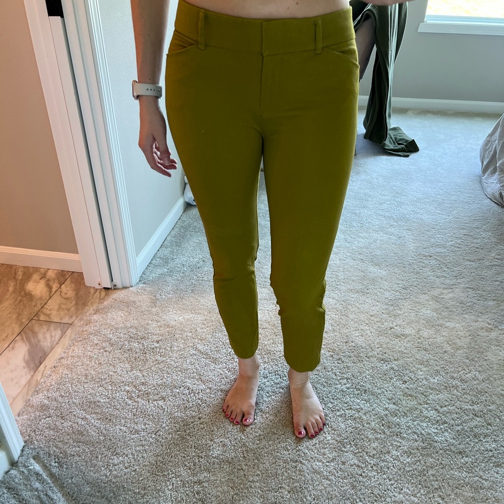 Olive Green Pants